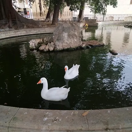 La Casuzza Del Centro *