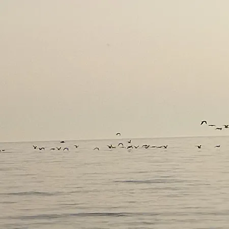 Prázdninový dům La Casuzza Del Centro Sciacca
