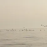 Semesterbostad La Casuzza Del Centro Sciacca